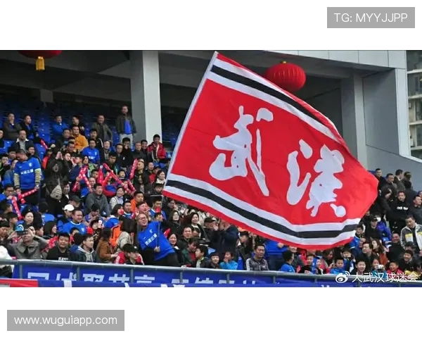 河南队严正回应成都球迷恶意侮辱：喷涂脏话、亵渎足球文化(3)